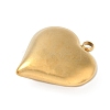 304 Stainless Steel Pendants STAS-S186-06B-G-2