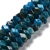 Natural Apatite Beads Strands G-D091-A09-1