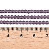 Imitate Austrian Crystal Frosted Glass Beads Strands EGLA-A039-T3mm-MD04-5