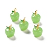Handmade Lampwork Pendants LAMP-A150-06MG-08-2
