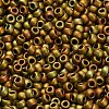TOHO 8/0 Round Beads SEED-XTR08-0513F-2