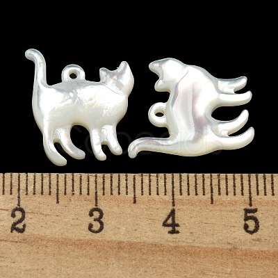 Natural White Shell Pendants SSHEL-N038-05A-01-1