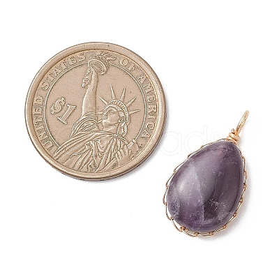Natural Amethyst Pendants PALLOY-JF04776-03-1