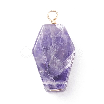 Natural Gemstone Pendants PALLOY-JF01403-1