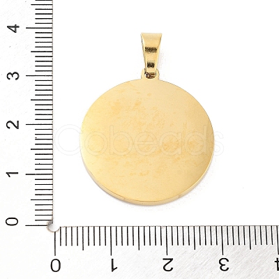 304 Stainless Steel Charms STAS-M341-01G-06-1