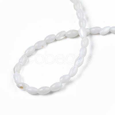 Natural Freshwater Shell Beads Strands SHEL-N003-25-A01-1