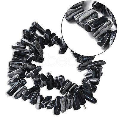 1 Strand Dyed Natural Trochus Shell Beads Strands SSHEL-PA0001-01C-1