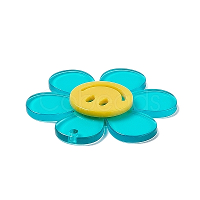 Transparent Acrylic Big Pendants LS-OACR-P012-A07-1