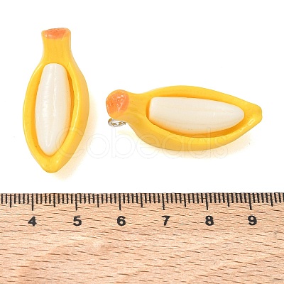 Opaque Resin Pendants RE-CBA278F-01-1
