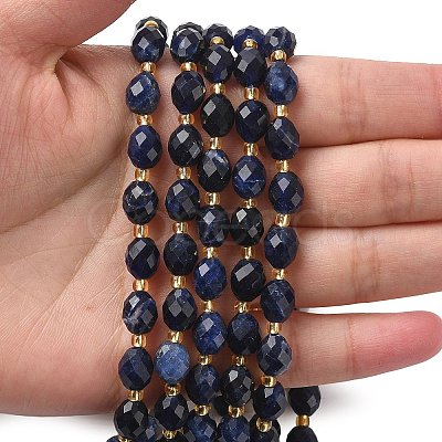 Natural Sodalite Beads Strands G-F809-A19-01B-1