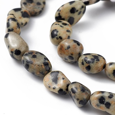 Natural Dalmatian Jasper Beads Strands X-G-B039-03A-1