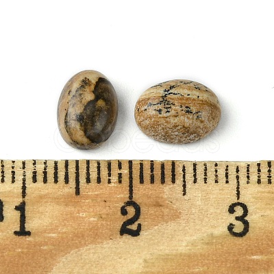 Natural Picture Jasper Cabochons G-A094-01B-48-1