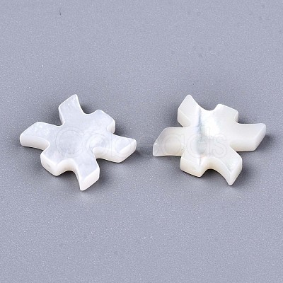 Natural White Shell Beads SSHEL-ZX004-02E-1