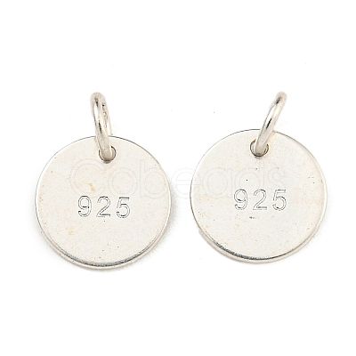 6Pcs 925 Sterling Silver Charms STER-BC0001-64-1