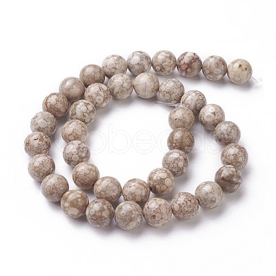 Natural Fossil Coral Beads Strands G-F563-02-10mm-1