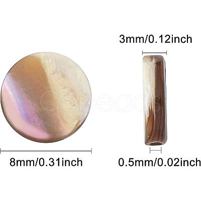 Natural Abalone Shell/Paua Shell Beads SSHEL-BC0001-09-1
