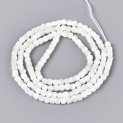Natural Trochid Shell/Trochus Shell Beads Strands BSHE-T014-52A-01-1