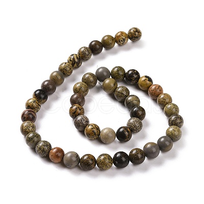 Natural Dendritic Jasper Beads Strands G-H1632-8MM-1