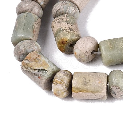 Natural Variscite Beads Strands G-Q616-09J-1