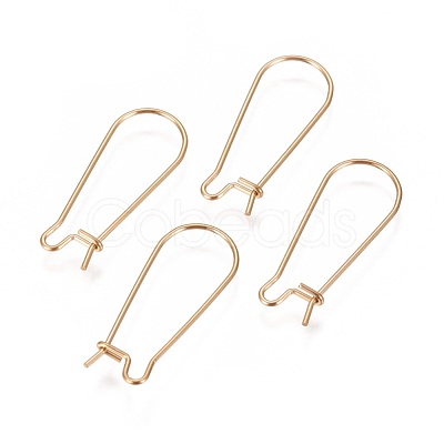 Ion Plating(IP) 304 Stainless Steel Hoop Earrings Findings Kidney Ear Wires X-STAS-L216-22B-G-1