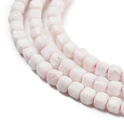 Natural Sea Shell Beads Strands G-H042-B33-01-1