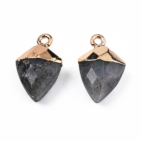 Natural Labradorite Pendants G-N326-134-03-1