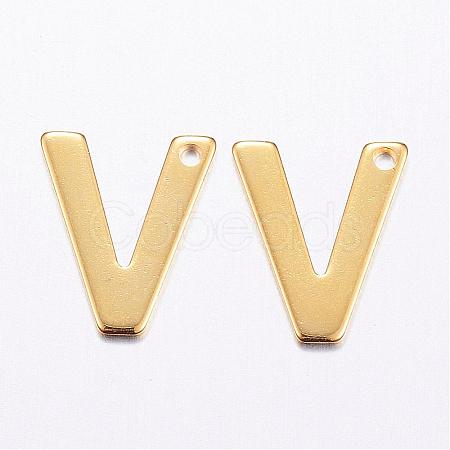 304 Stainless Steel Charms STAS-P141-V-1