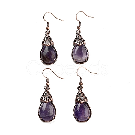 Natural Amethyst Teardrop Dangle Earrings EJEW-B055-01R-21-1