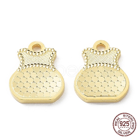 925 Sterling Silver Charms STER-C003-09G-1
