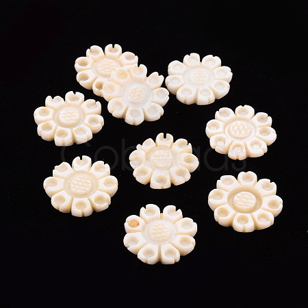 Freshwater Shell Cabochons SHEL-T018-14-1