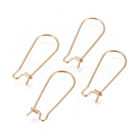 Ion Plating(IP) 304 Stainless Steel Hoop Earrings Findings Kidney Ear Wires X-STAS-L216-22B-G-1
