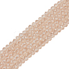 Glass Beads Strands EGLA-A034-T4mm-D20-2