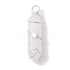Natural Quartz Crystal Double Terminal Pointed Pendants PALLOY-JF02673-05-1