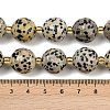 Natural Dalmatian Jasper Beads Strands G-C249-A02-16mm-6