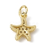 Brass Micro Pave Cubic Zirconia Charms ZIRC-F132-13G-2