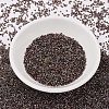 MIYUKI Delica Beads SEED-X0054-DB2207-2