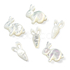 6Pcs 2 Styles Natural White Shell Beads BSHE-CJ0001-05-1