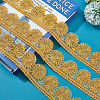 about 4.75~5 Yards Polyester Lace Trim OCOR-PH0001-96B-4