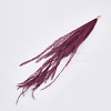 Ostrich Feather Tassel Big Pendant Decorations FIND-S302-08K-3