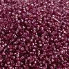 MIYUKI Round Rocailles Beads SEED-G009-RR0645-2