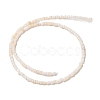 Natural Freshwater Shell Beads Strands SHEL-P017-01B-02-2