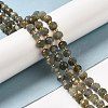 Natural Labradorite Beads Strands G-P508-A20-01-2