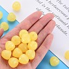 Transparent Acrylic Beads MACR-S373-10E-07-6