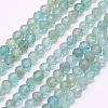 Natural Apatite Beads Strands G-I156-05-2mm-1