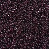 MIYUKI Round Rocailles Beads X-SEED-G007-RR0153-3