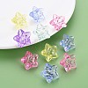 Transparent Acrylic Beads X-MACR-S373-76-B-7