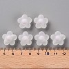 Transparent Acrylic Beads LS-TACR-S152-09C-06-4