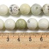 Natural Dendritic Jasper Beads Strands G-E571-A05-03-5