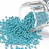12/0 FGB Grade A Round Glass Seed Beads SEED-N001-A-1016-1