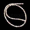 Natural Shell Beads Strands SHEL-K006-76-2